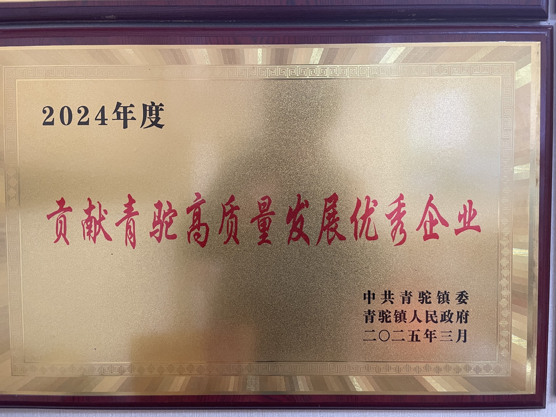 2024年貢獻青駝高質(zhì)量發(fā)展優(yōu)秀企業(yè).jpg
